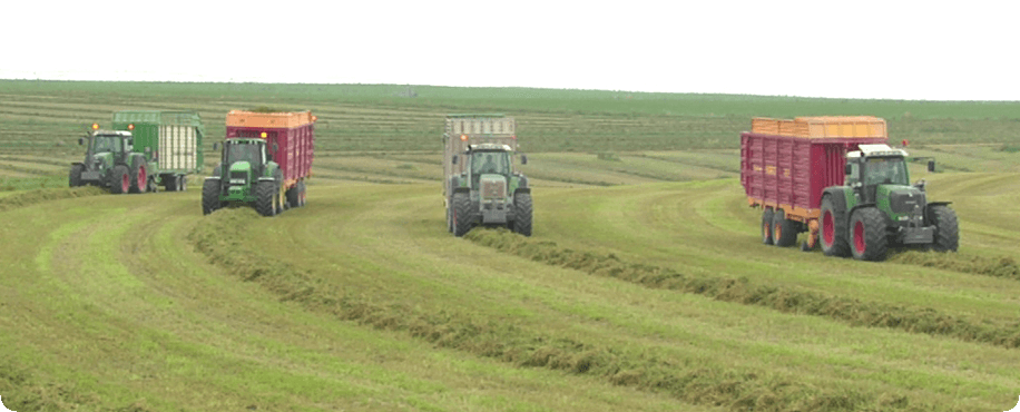 Las III jornadas Españolas de Alfalfa tienen fecha