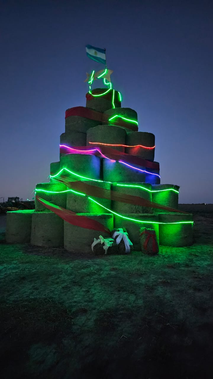 Con rollos de alfalfa armó un árbol de navidad