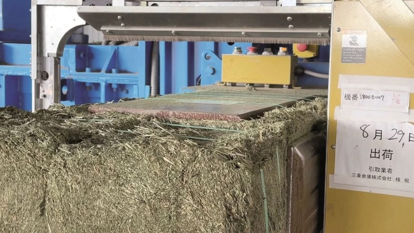 San Luis duplicó su producción de pastura