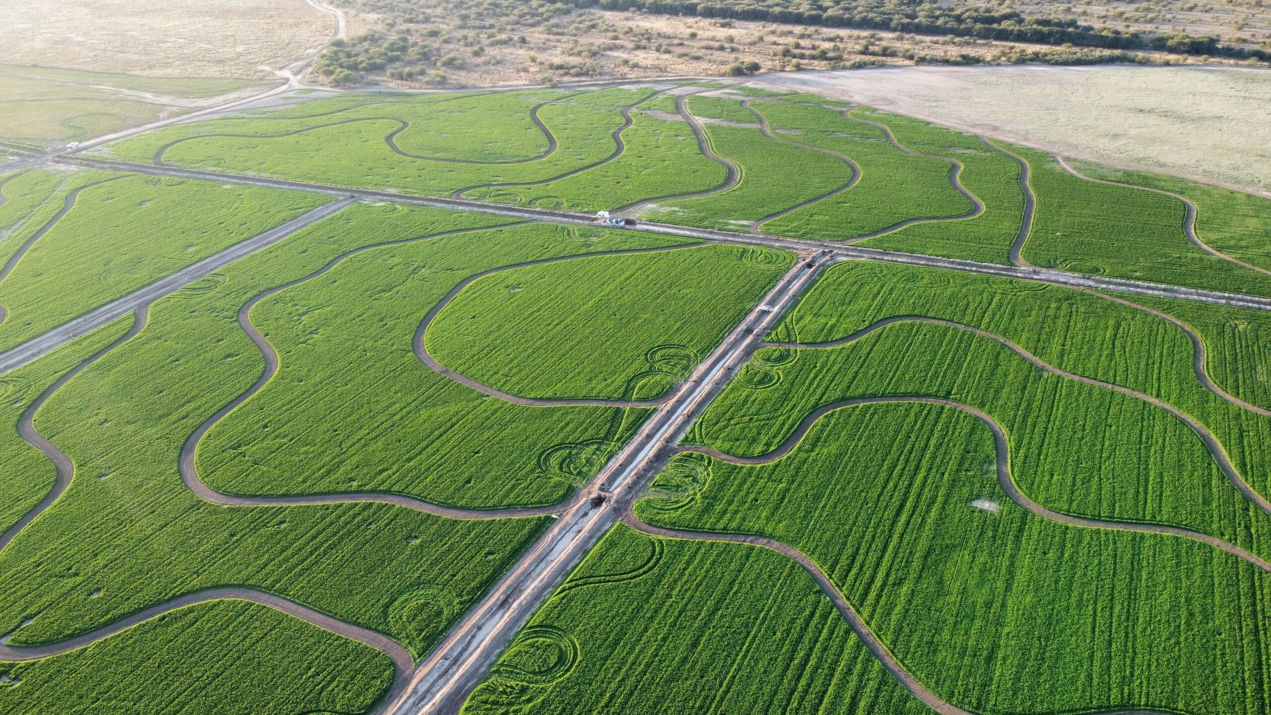 “Foodscapes”: Pasturas con responsabilidad ambiental