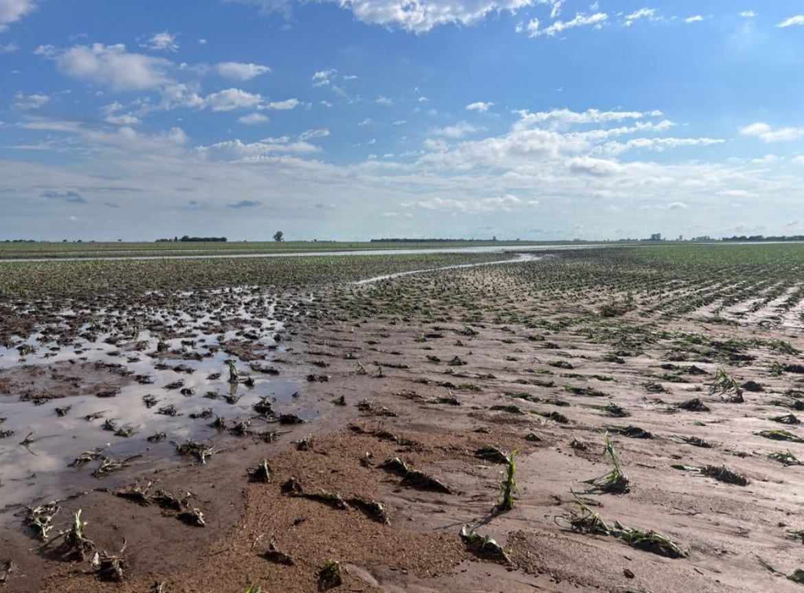 El Informe Agroclimático anticipa extremos para el verano por “El Niño”