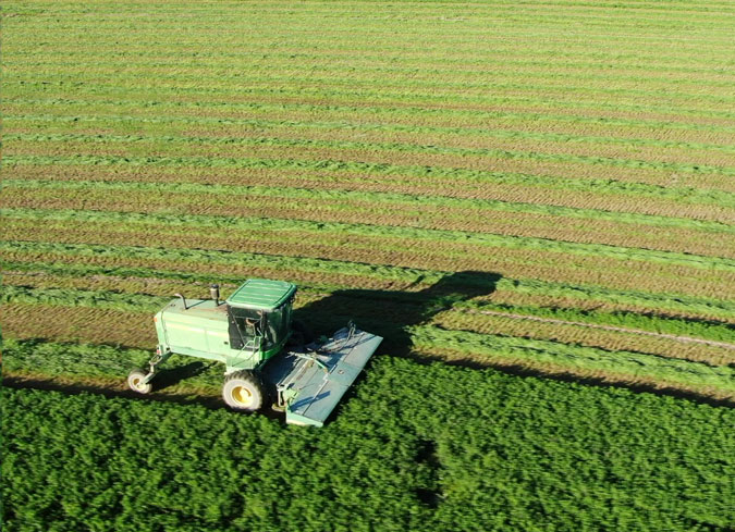 TodoAlfalfa presente en las Jornadas Españolas de Cultivo de la Alfalfa