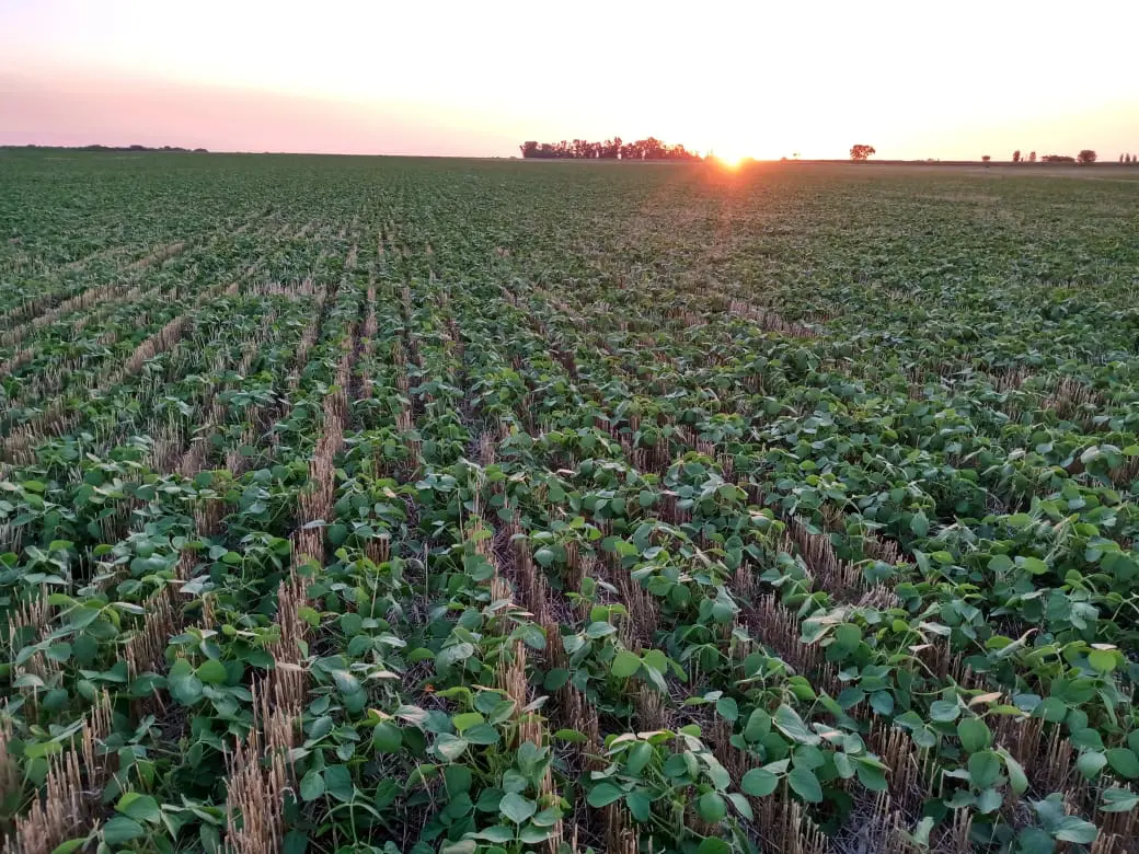 El agua, clave para la productividad agropecuaria
