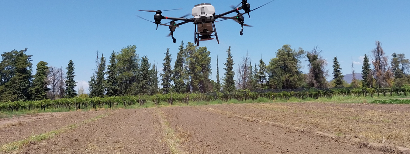 Drones para sembrar pasturas en Mendoza
