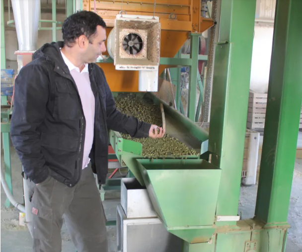 Desde San Juan exportan pellet de alfalfa premium a Chile