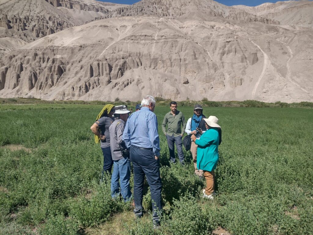 Daniel Basigalup: visita técnica en Chile y datos de la alfalfa ...