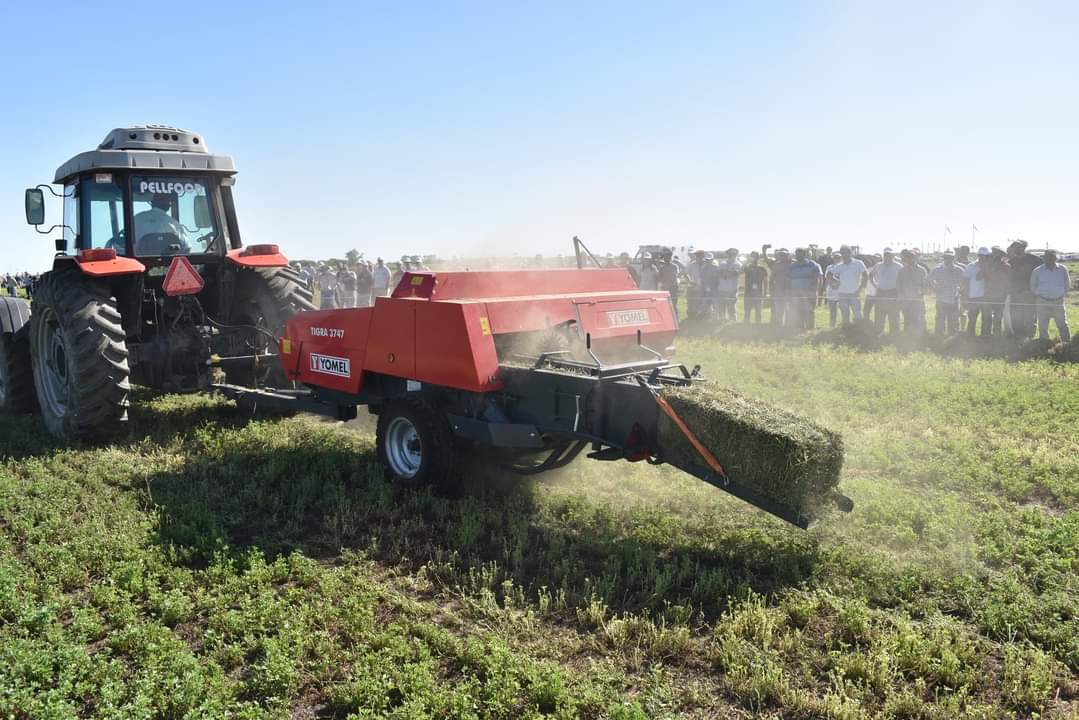 Con una veintena de expertos confirmados, ExpoAlfa entra en su recta final