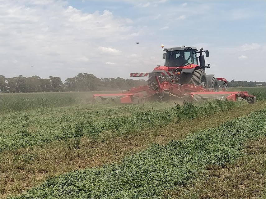 La dinámica forrajera más grande del país estará en ExpoAlfa