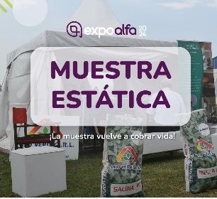 Una muestra estática que te hará “mover”