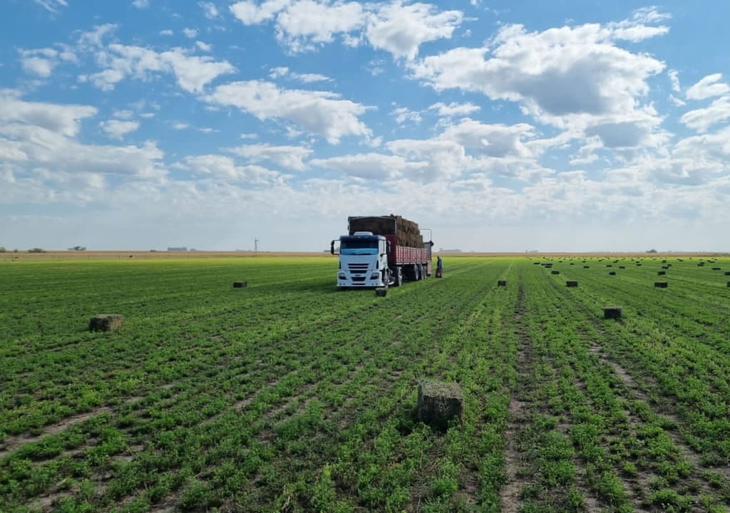 Una jornada a campo para productores en Morrison