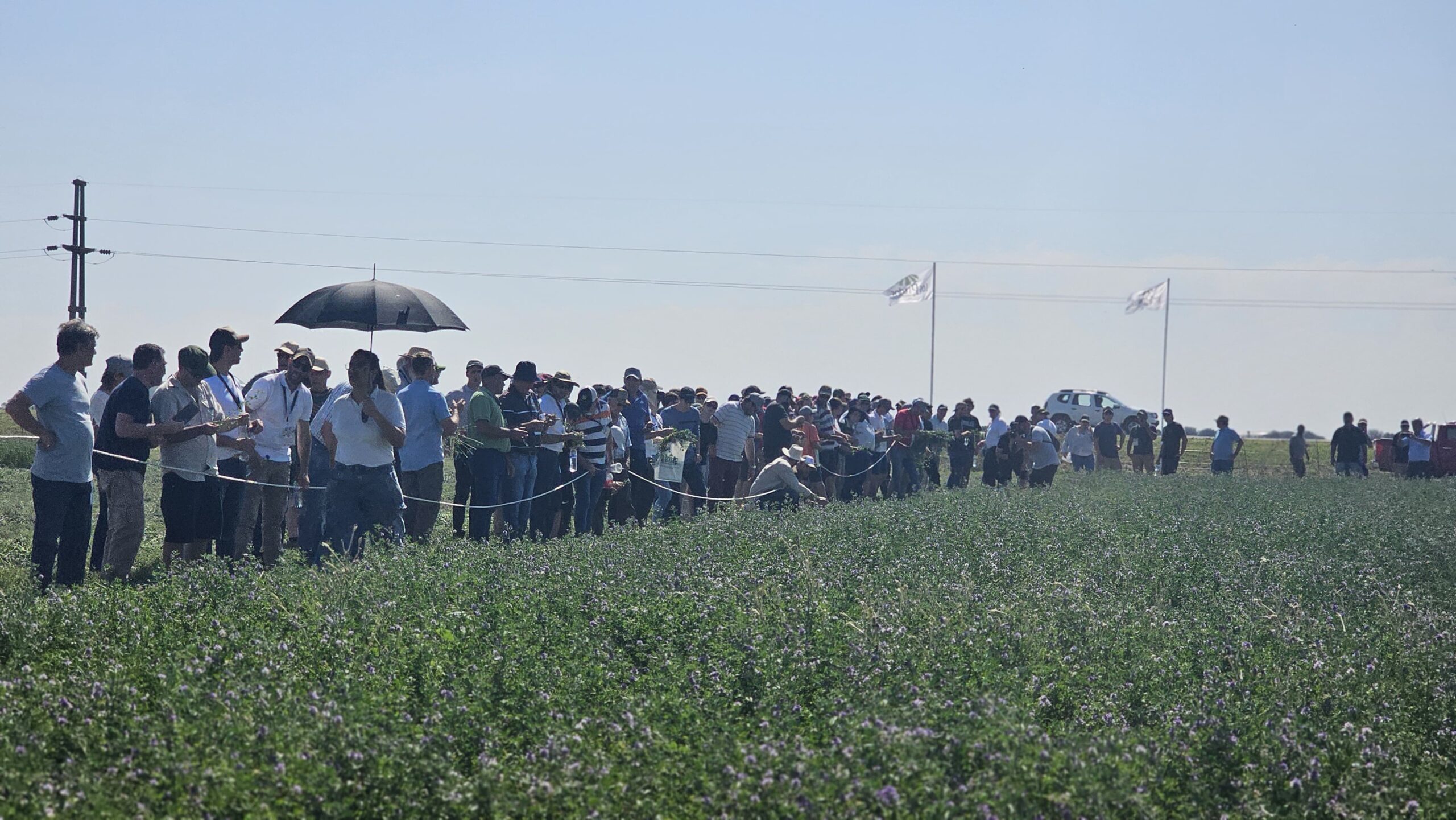 Las dinámicas cerraron ExpoAlfa