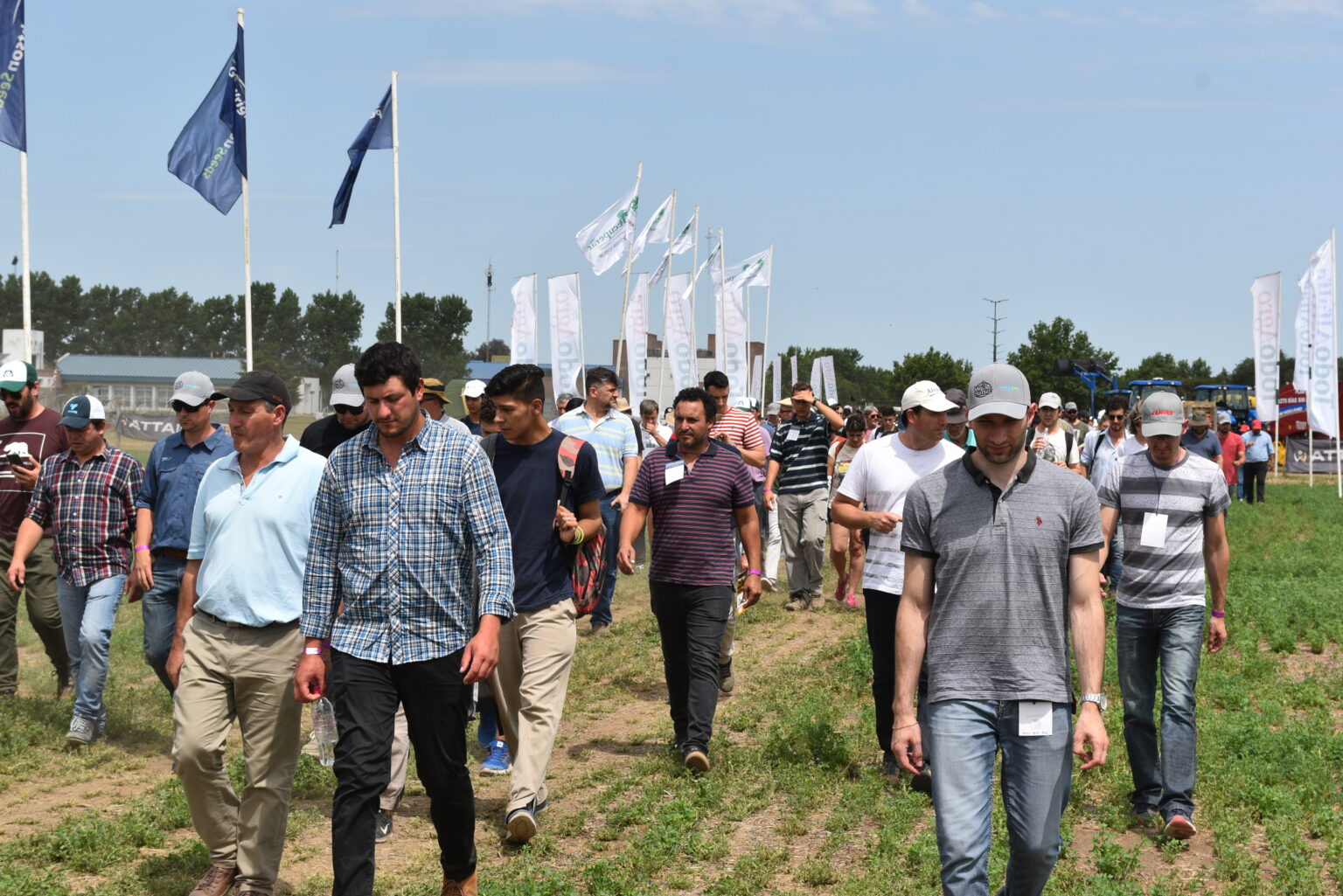 Un amplio programa para “mostrar la alfalfa en Santa Fe”