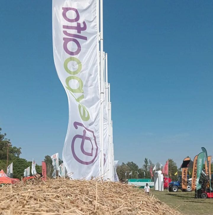 Exitosa edición de ExpoAlfa 2024