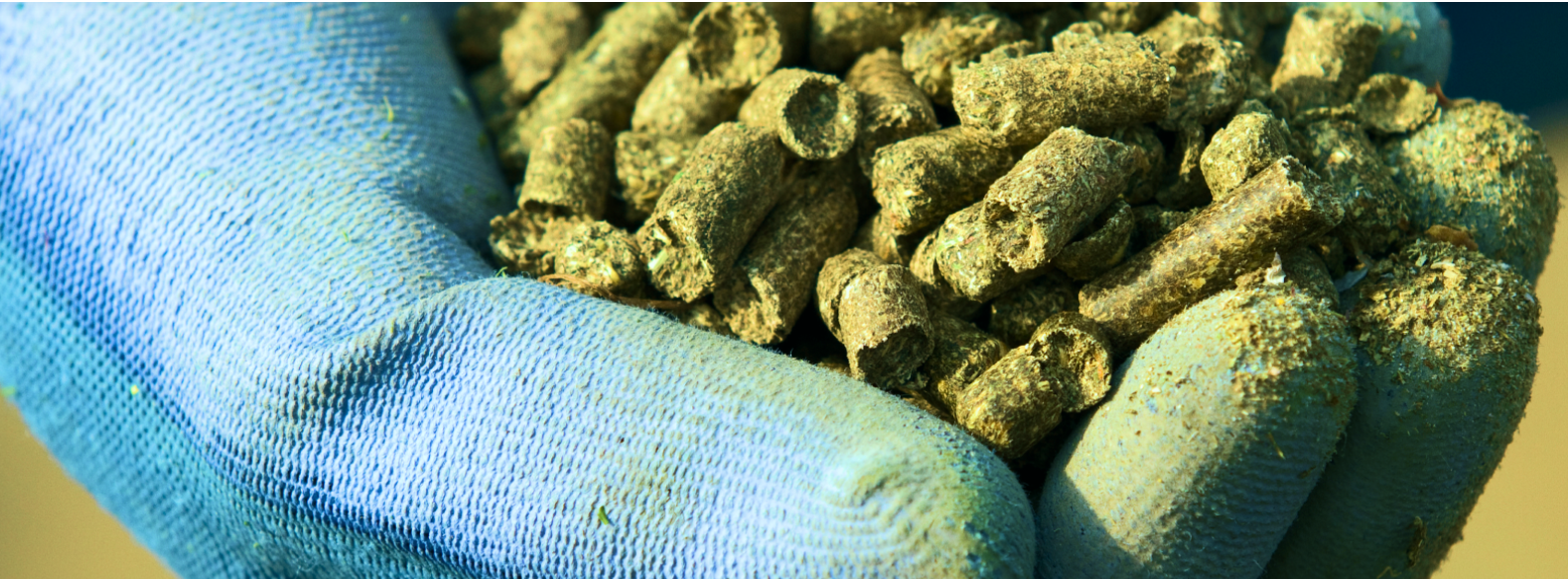 Agrogy, una apuesta en el mundo de la alfalfa y la alimentación animal 