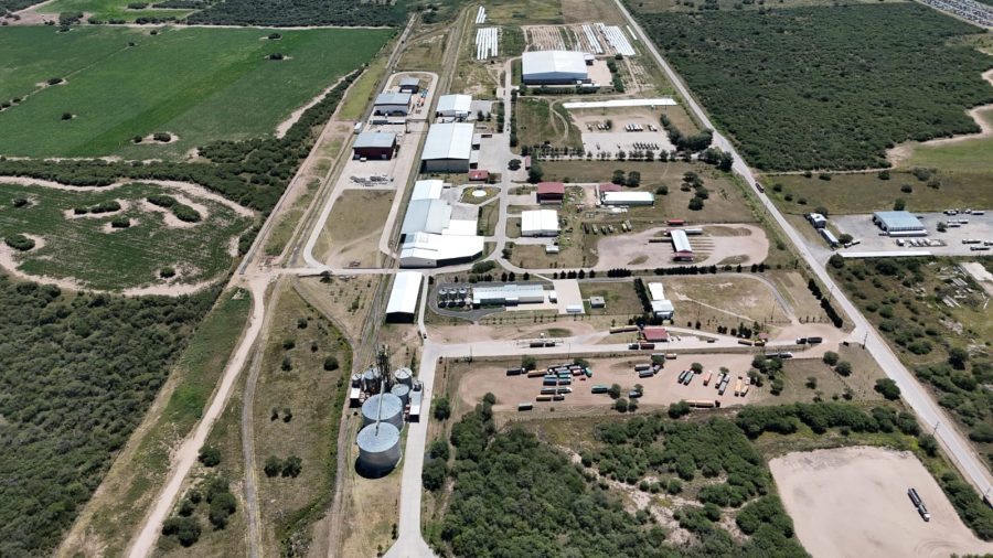 Creciente interés de empresas para desarrollar alfalfa en San Luis 