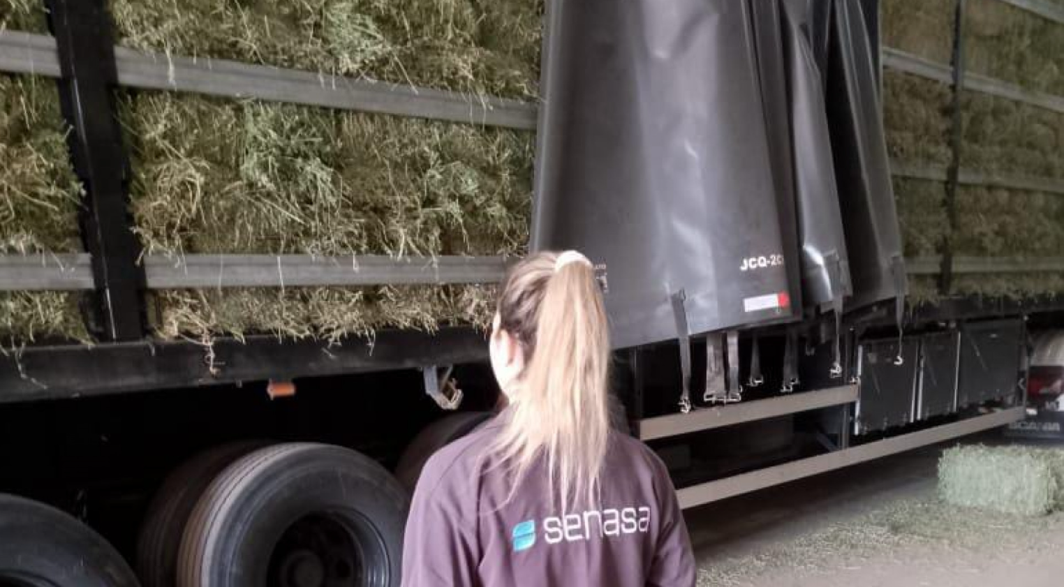 Certificaron más de 500 toneladas de alfalfa que fueron exportadas a Brasil 