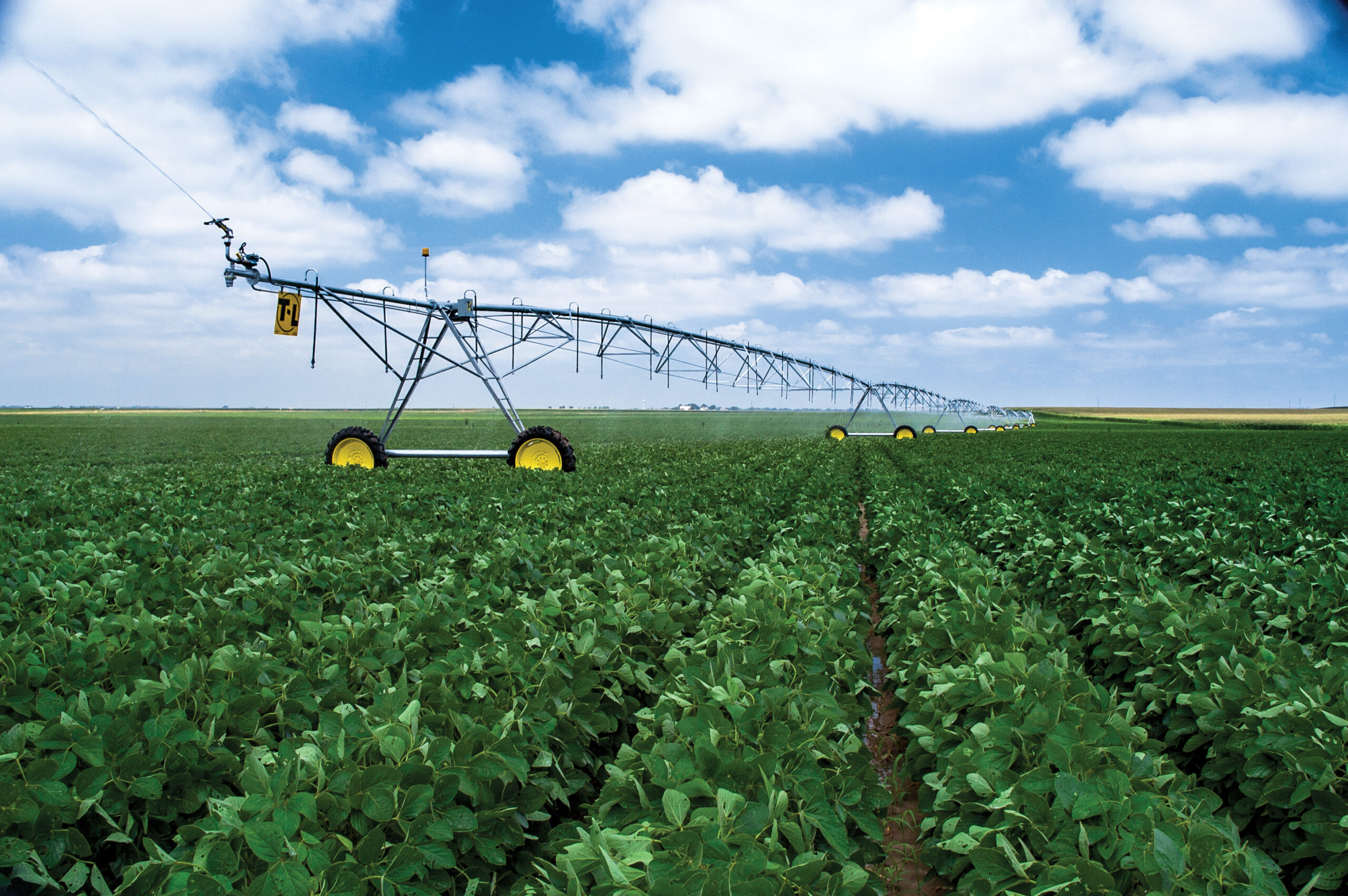 El riego, punto de debate en ExpoAgro 