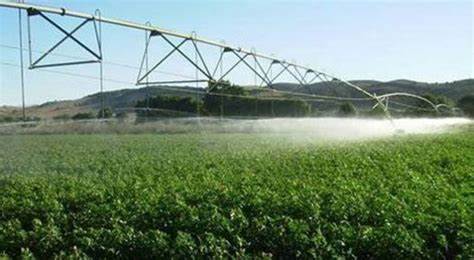 El gran salto productivo lo brindará el riego 