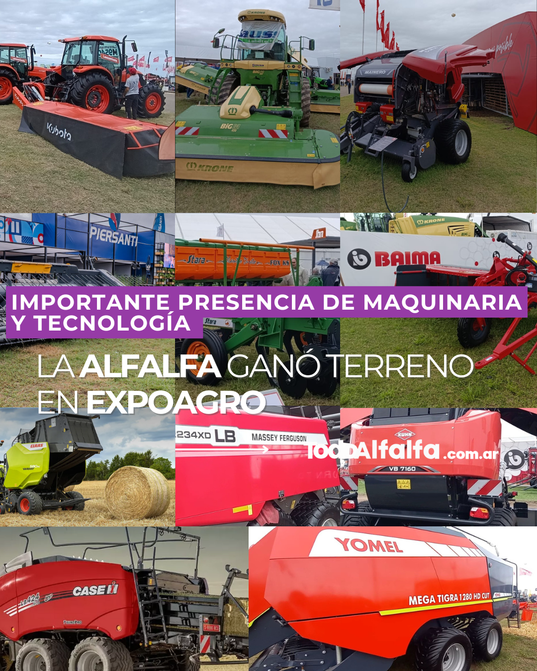 La alfalfa ganó terreno en ExpoAgro  