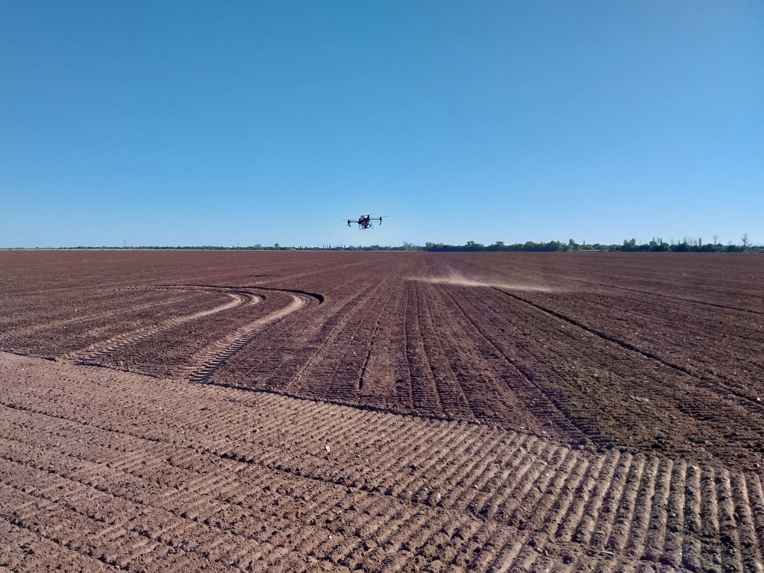 Innovación en el agro: siembra de alfalfa con drones en San Luis 