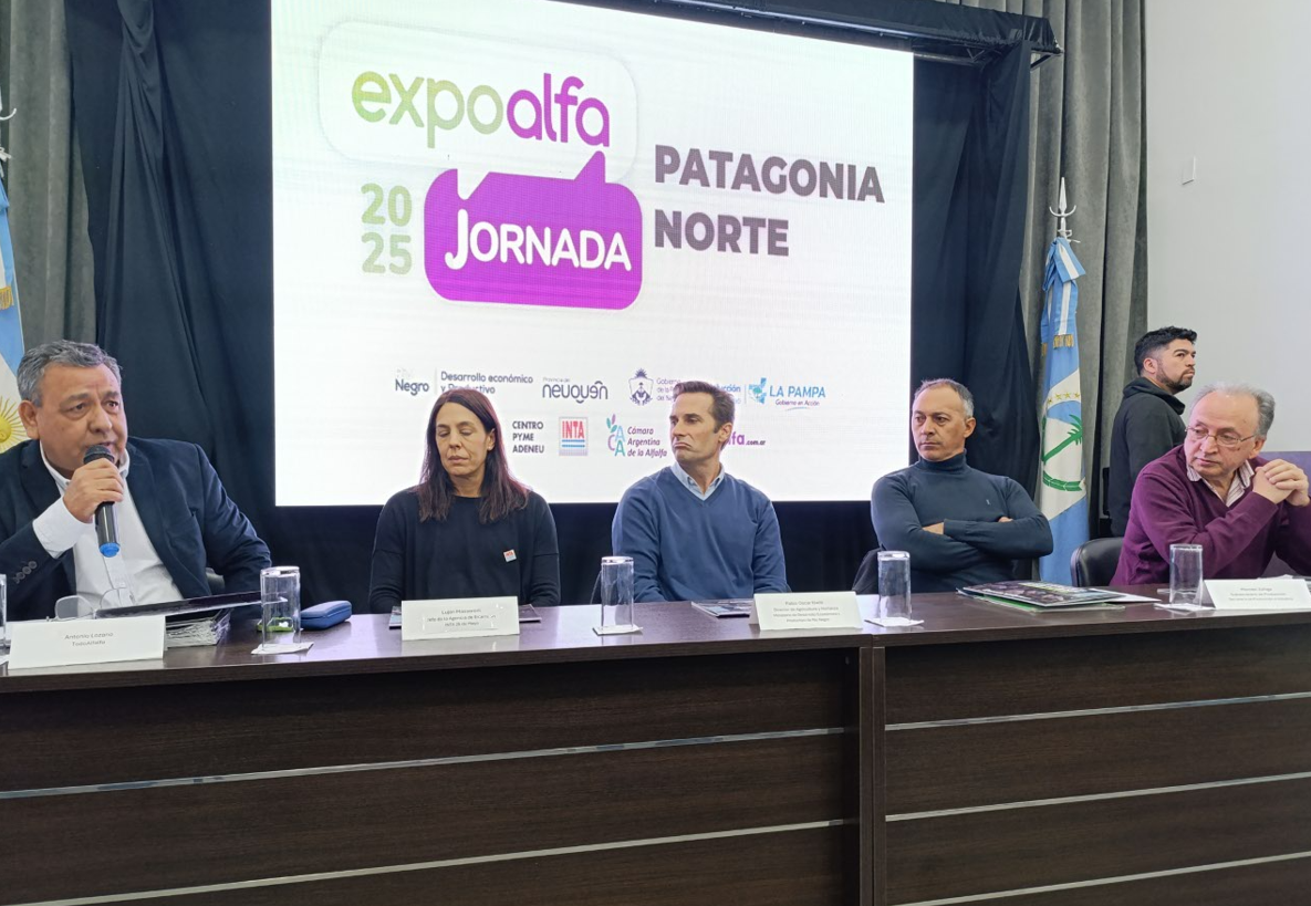 La calidad de la alfalfa comienza a debatirse en la Patagonia Norte 