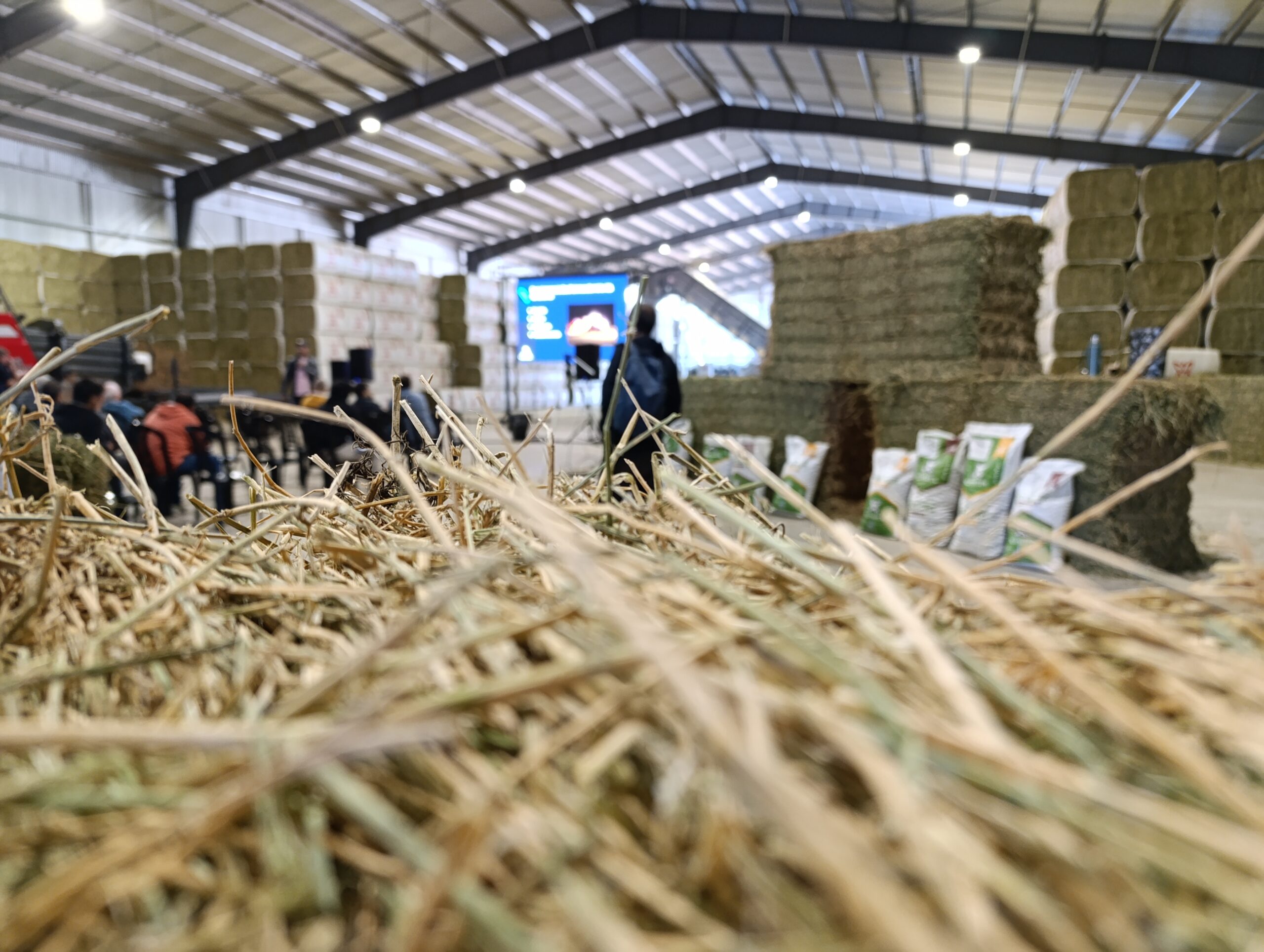 La Argentina alfalfera y un “potencial incalculable” 