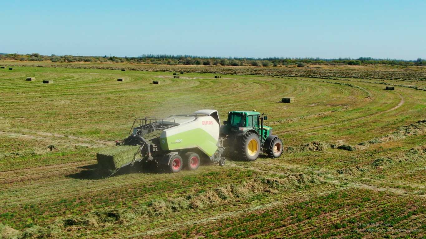 Exportadores de alfalfa en busca de calidad 