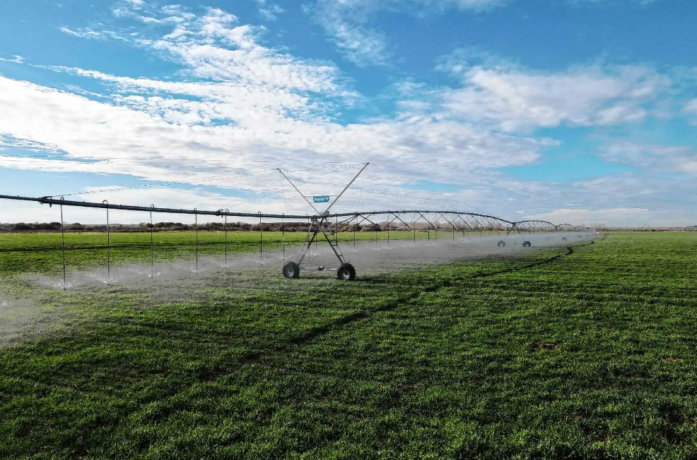 El «coloso» que lleva alfalfa de Río Negro a todo el mundo y no para de crecer