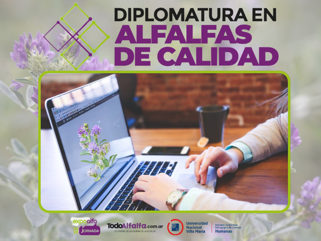 Una diplomatura para producir “alfalfas de calidad” 