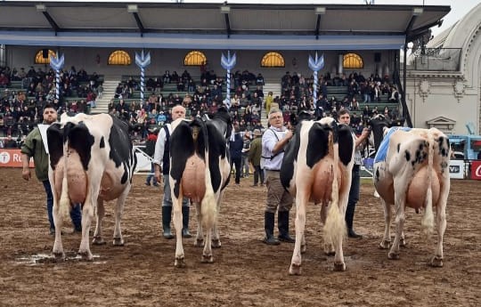En Palermo, la maquinaria forrajera lució entre animales, tecnología y política