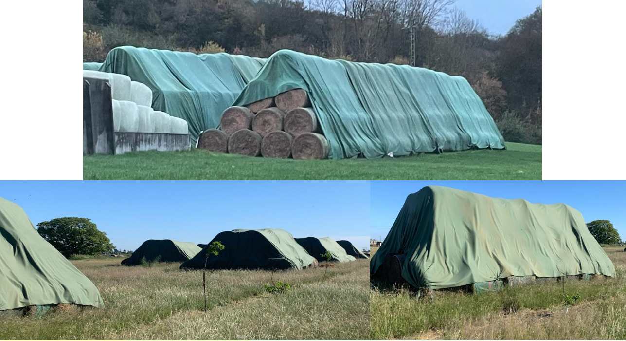 Proteger el cultivo para ganar calidad