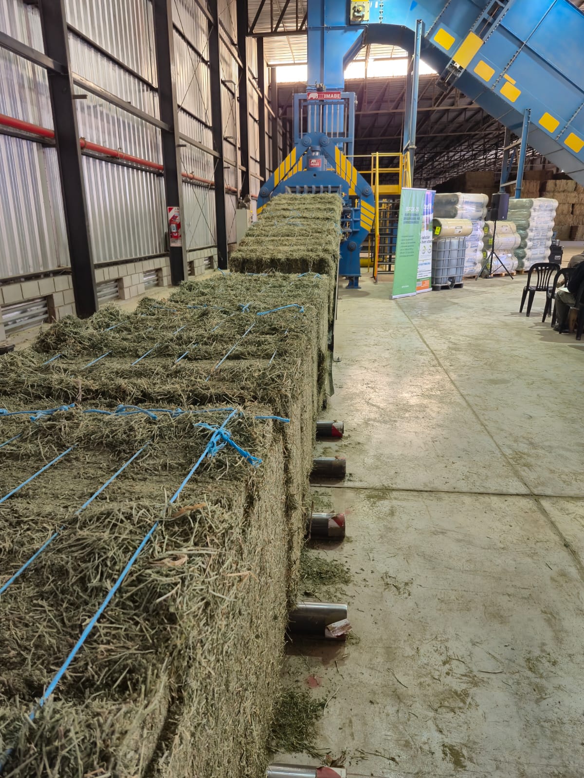 La alfalfa y un cambio de paradigma: De “pasto” a un producto valioso