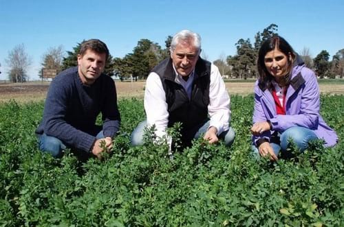 El Congreso Mundial de Alfalfa tendrá acento argentino y cordobés