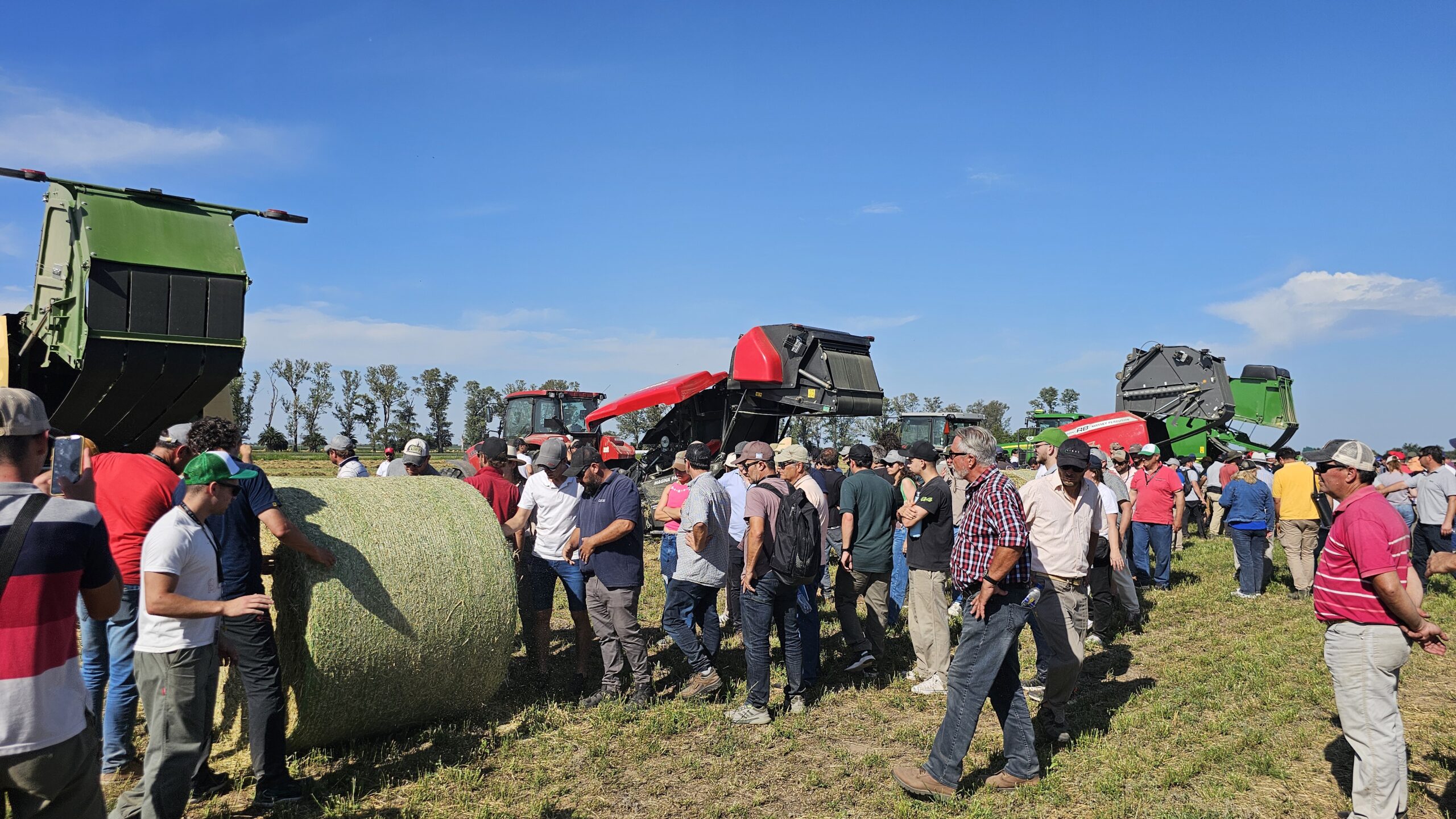 La alfalfa teñirá de lila Pozo del Molle y Carrilobo