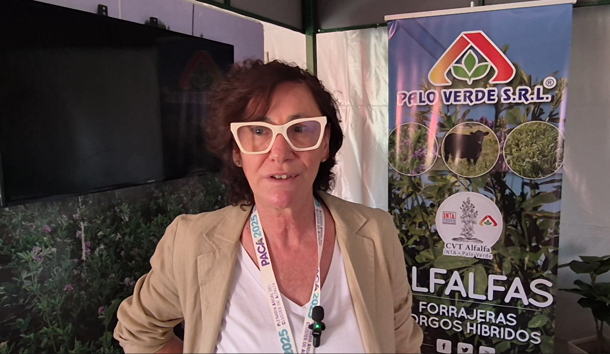 Palo Verde presentará tres nuevas variedades de semillas