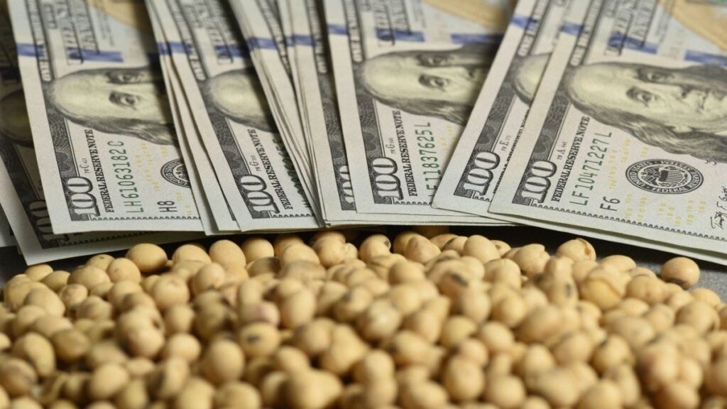 Rápidamente se agotó el cupo y volvieron las retenciones a los granos y la carne