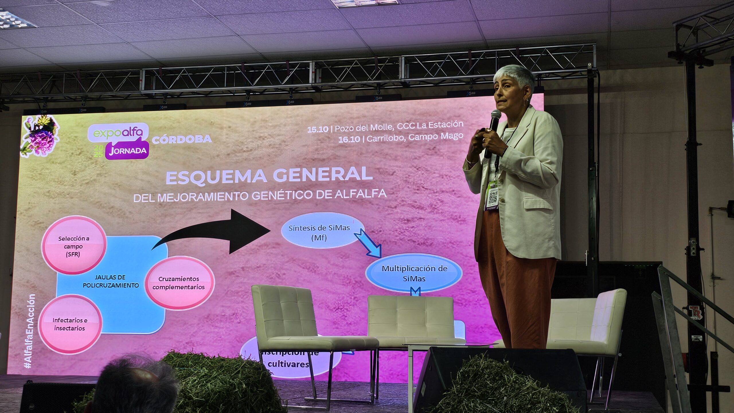 La evolución de la alfalfa: Claves para la producción y la revolución genética 