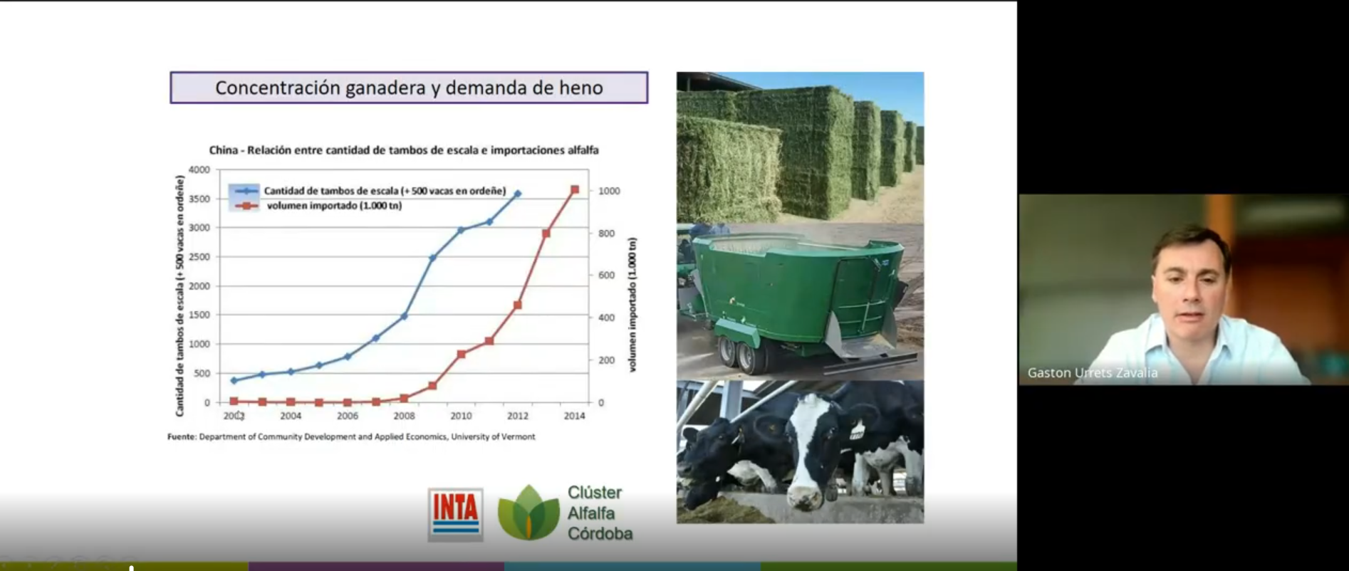 Alfalfa Argentina: El desafío de transformar potencial en realidad competitiva