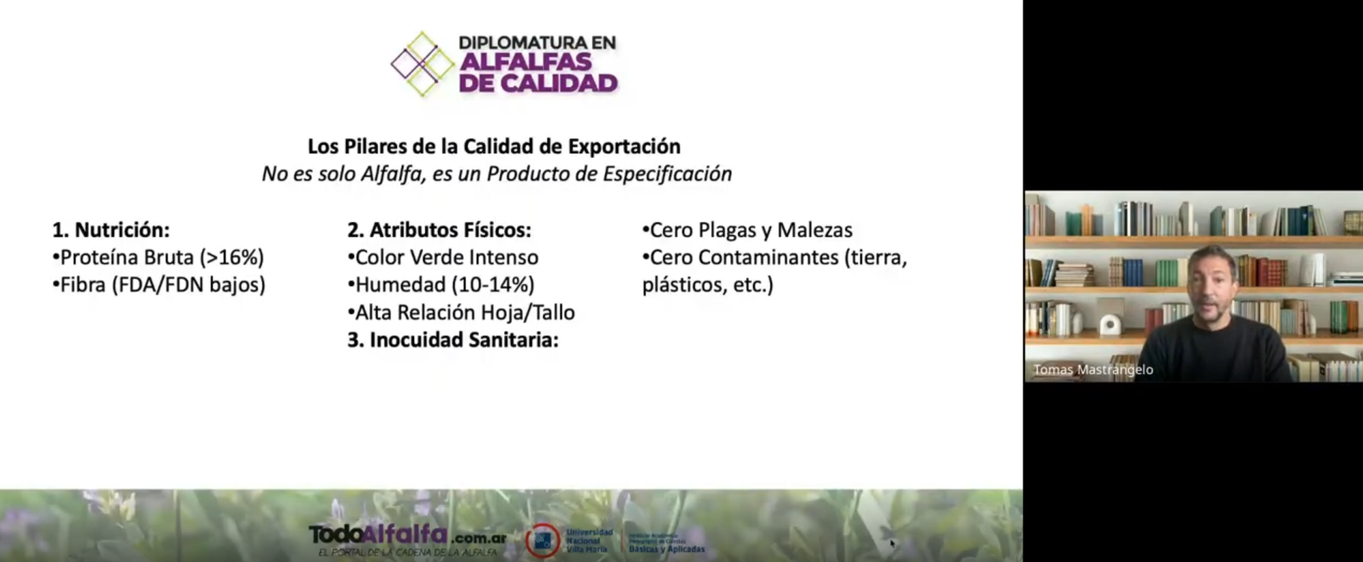 Claves de la alfalfa Argentina para conquistar el mundo