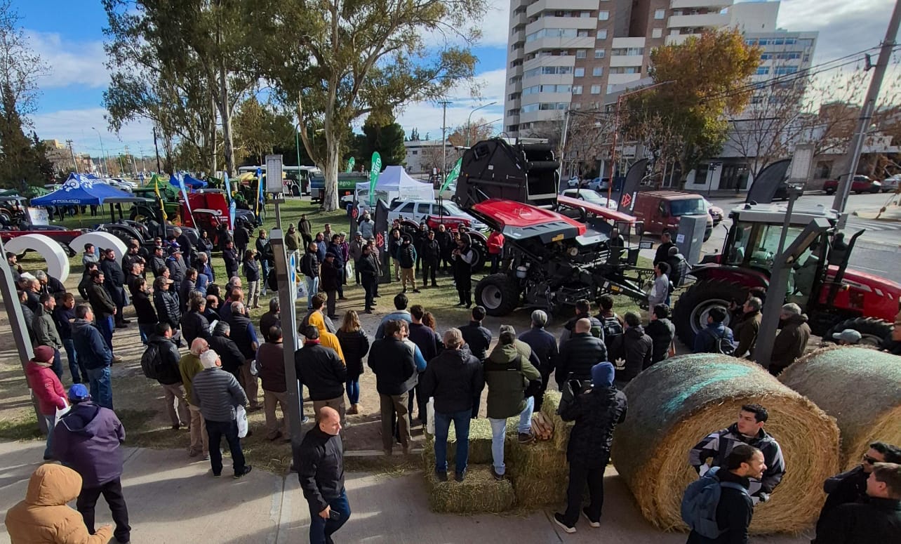 Una muestra estática que pondrá a la alfalfa en su máxima expresión 