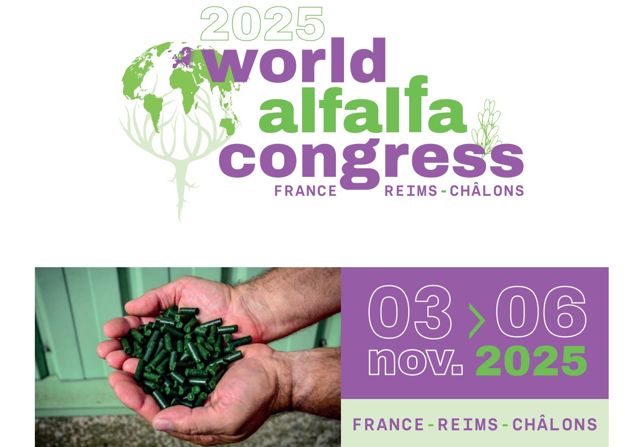 Argentina se prepara para la «Champions League» de la Alfalfa con la mira en los mercados globales