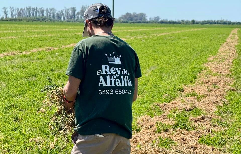 El “rey de la alfalfa” ¿está en Sunchales?
