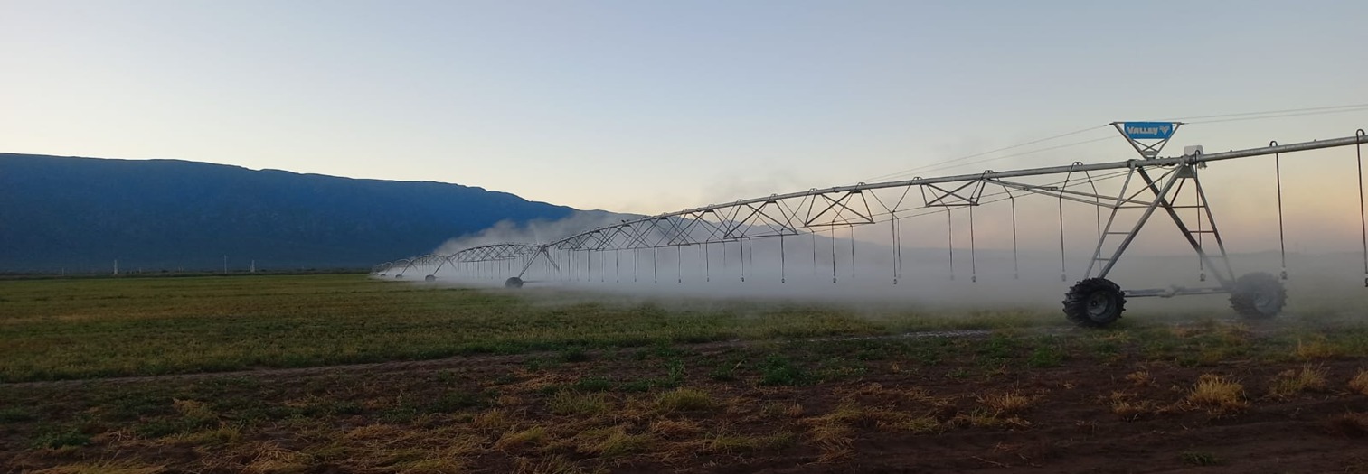 Claves del riego en las Jornadas Nacionales de Alfalfa 