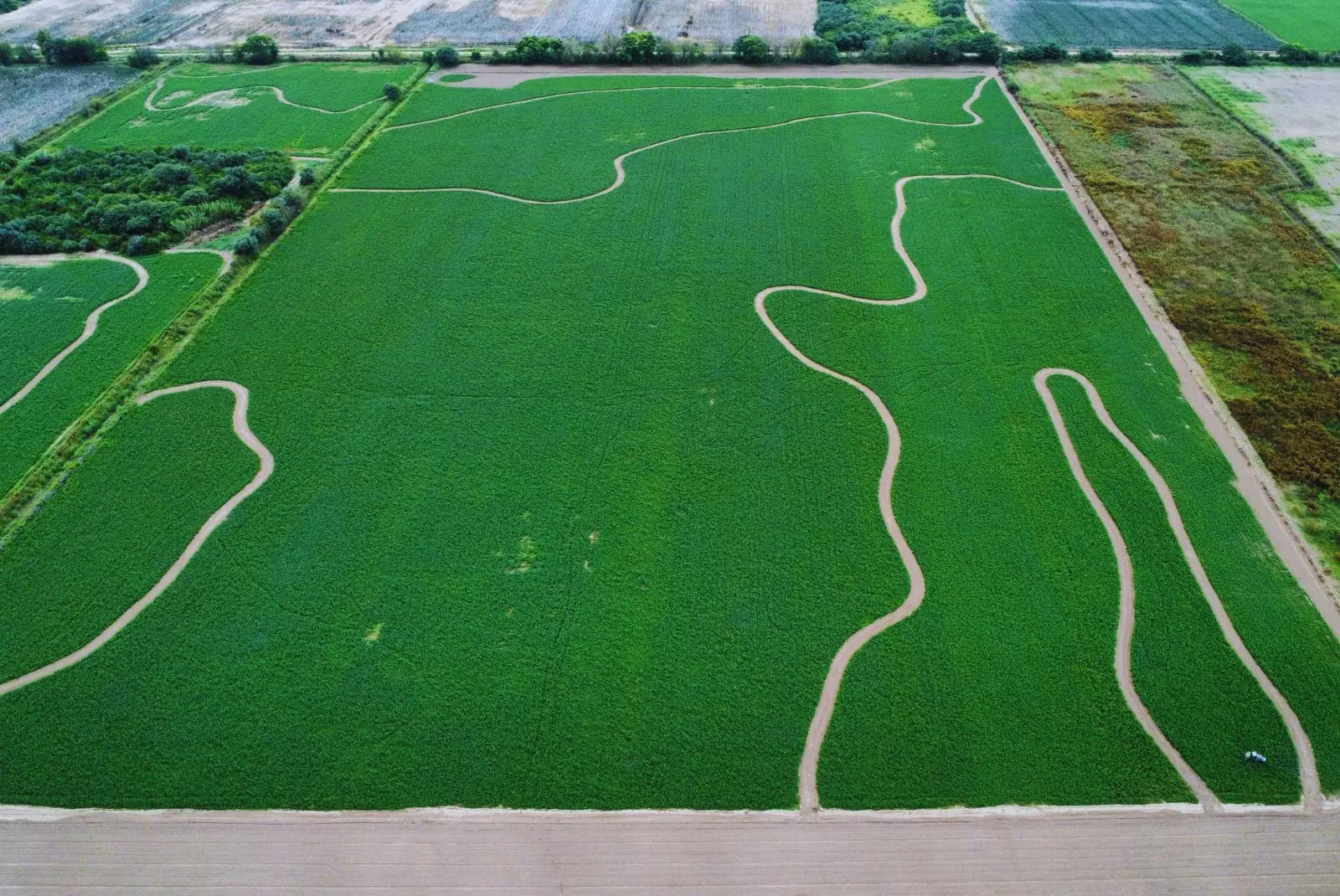 El riego, una de las claves para lograr alfalfa competitiva