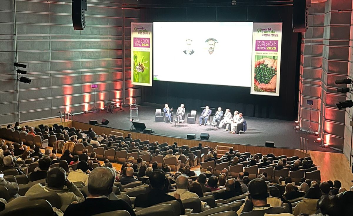 La incidencia de la alfalfa europea en la nutrición animal