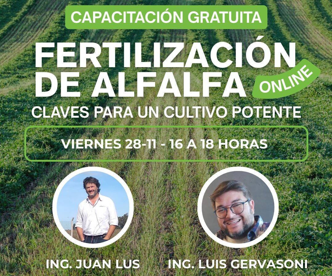 Capacitan en fertilización de alfalfa