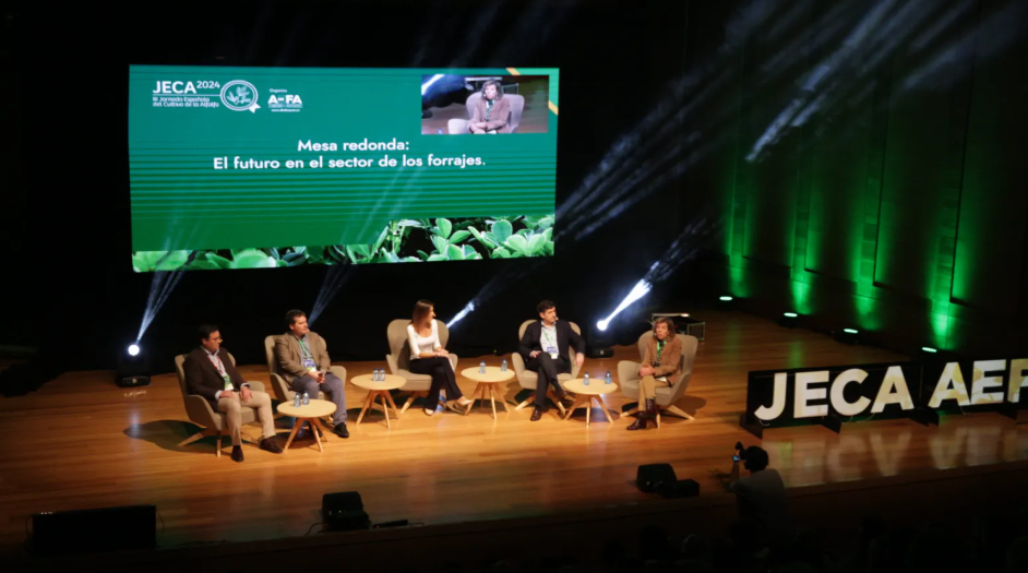 El cultivo de alfalfa sostenible para la calidad y la nutrición animal