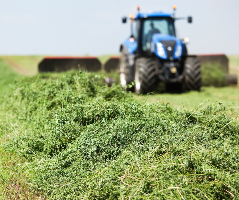Reimaginar el papel de la alfalfa para una agricultura sostenible y equilibrada