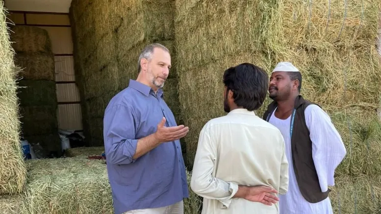 Misión comercial para posicionar la alfalfa argentina en Medio Oriente