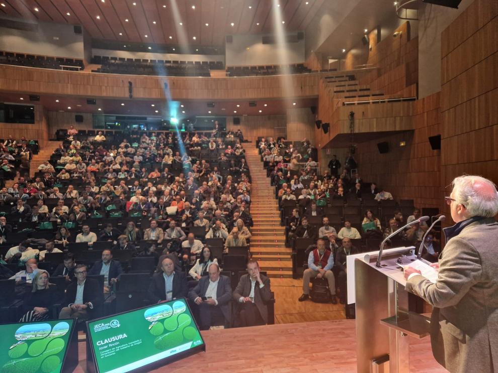 Aragón produce el 50 por ciento de la alfalfa española